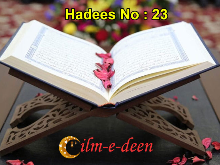 daily-quran-and-hadith-hadees-no-23-ilm-e-deen